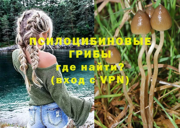 соль курить ск Остров