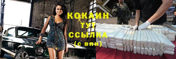 твердый Осинники