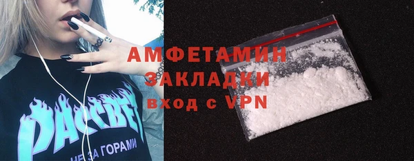 твердый Осинники