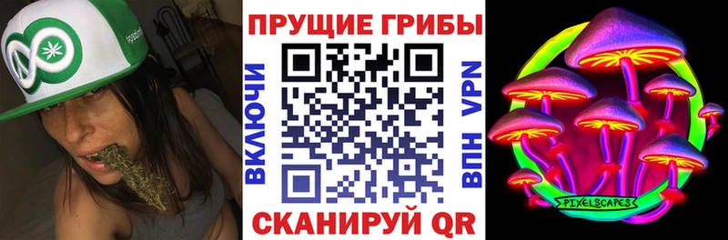 Купить  Каменка  Псилоцибиновые грибы прущие грибы 